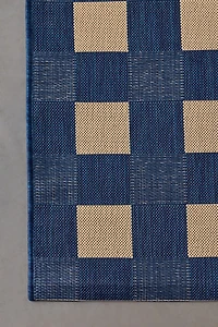 Cillian Checkerboard Indoor/Outdoor Rug