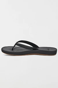 Sanuk Cosmic Shores Women's Sandals