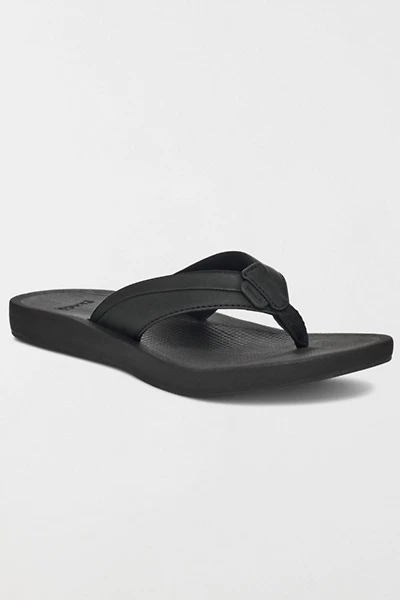 Sanuk Cosmic Aquarius 2 Women's Sandals