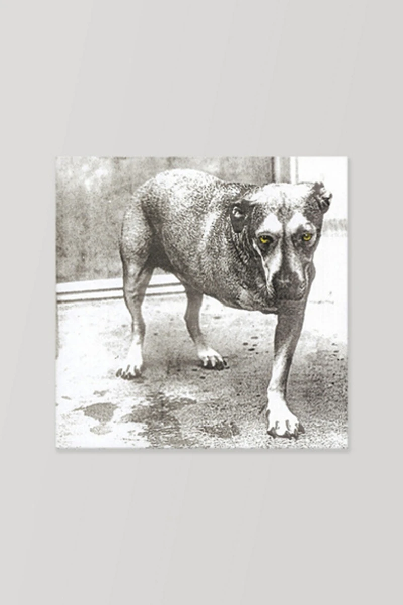 Alice in Chains - Alice In Chains  LP