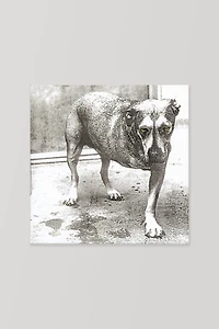 Alice in Chains - Alice In Chains  LP