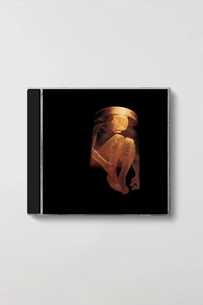 Alice in Chains - Nothing Safe: Best of CD