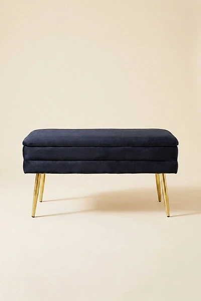 TOV Furniture Ziva Velvet Upholstered Storage Bench