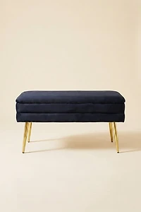 TOV Furniture Ziva Velvet Upholstered Storage Bench