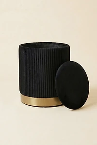 TOV Furniture Zoe Ribbed Velvet Upholstered Storage Ottoman