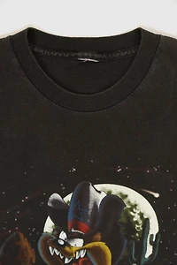 Vintage 1993 Dallas Cowboys Taz Tee
