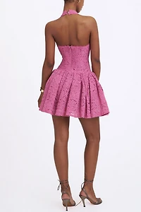 Miss Circle Karla Lace Drop Waist Halter Mini Dress