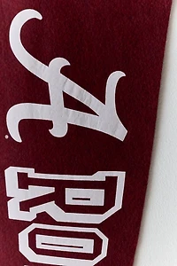 Collegiate Pennant Flag Wall Hanging