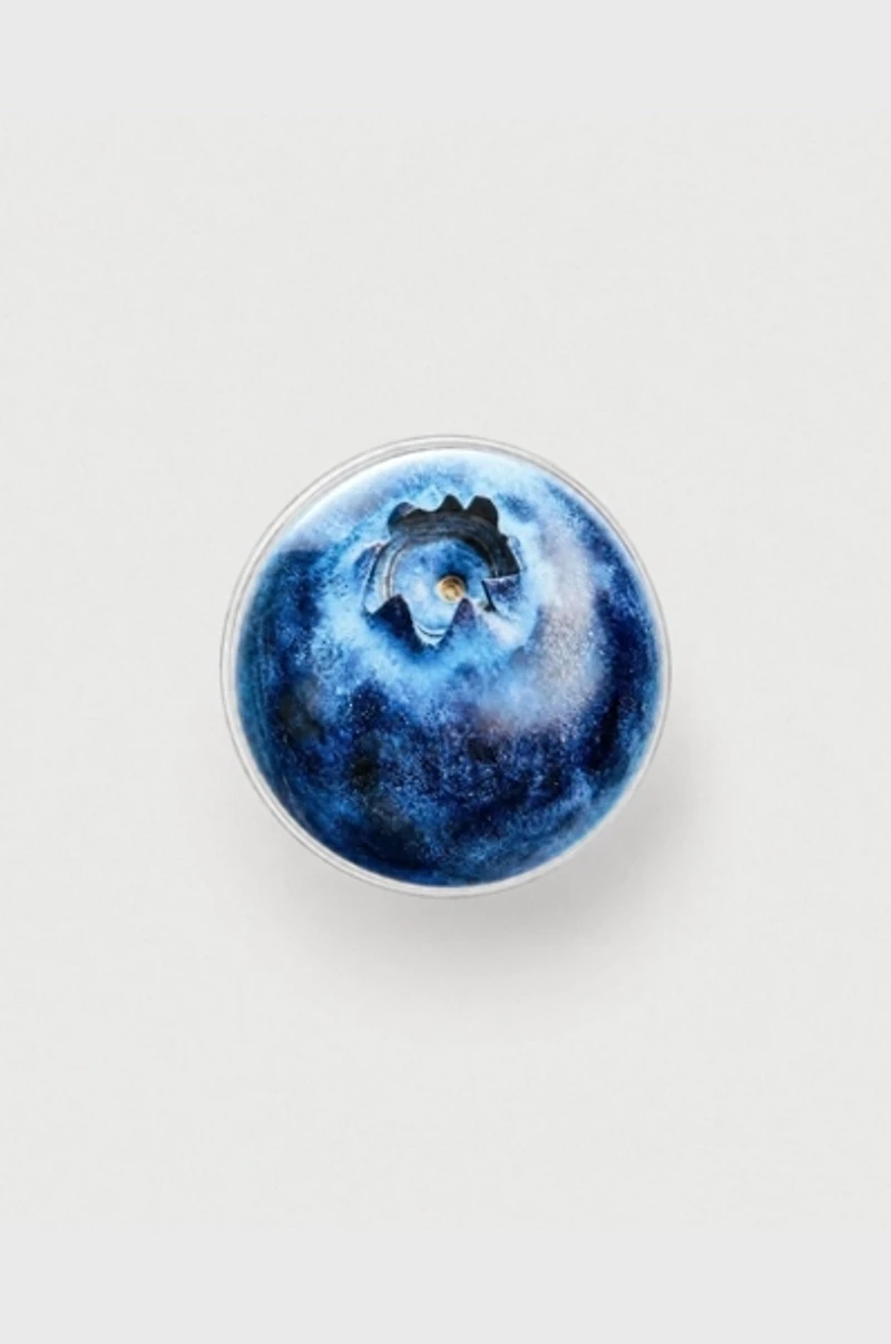 Cordée Cases Fruit Magnetic Phone Grip