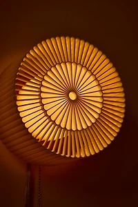 Wooj Design x Christopher Merchant The Rosette Sconce