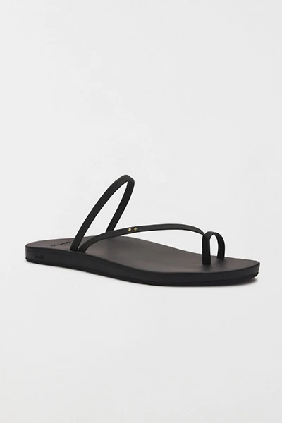 Sanuk Polly Ring Sandal