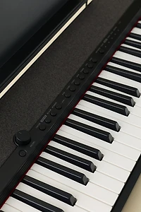 Casio Casiotone CT-S1RD Portable Piano Keyboard