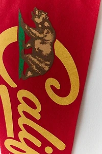 State Pennant Flag Wall Hanging