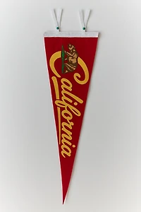 State Pennant Flag Wall Hanging