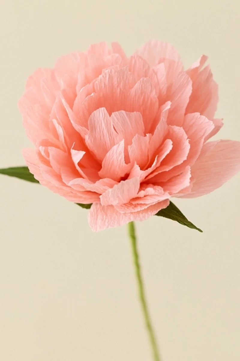 PRINTWORKS Crepe Paper Flower Craft Set