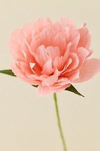 PRINTWORKS Crepe Paper Flower Craft Set