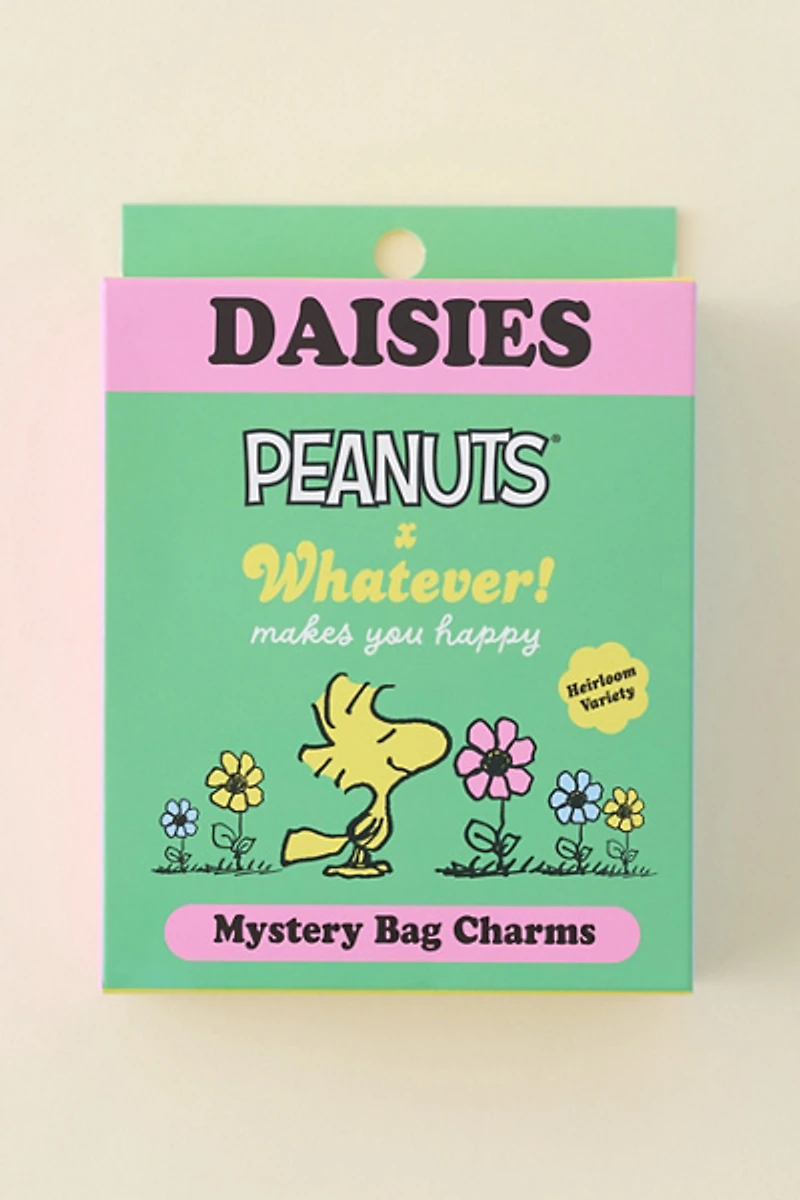 Whatever! Makes You Happy X Peanuts Sherbet Spring Flowers Blind Box Coin Purse Keychain
