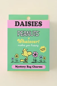 Whatever! Makes You Happy X Peanuts Sherbet Spring Flowers Blind Box Coin Purse Keychain