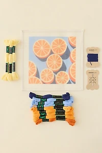 Unwind Studio DIY Agrumes Needlepoint Craft Kit