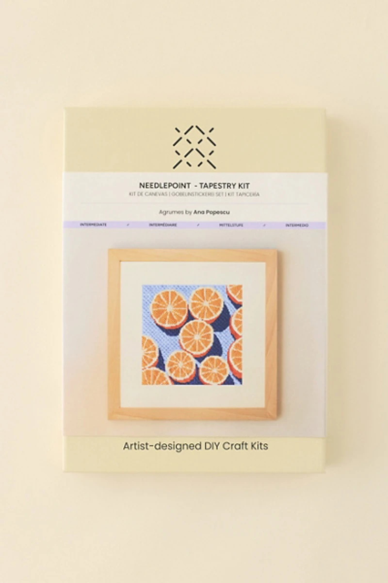 Unwind Studio DIY Agrumes Needlepoint Craft Kit