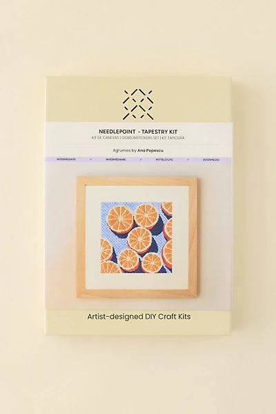 Unwind Studio DIY Agrumes Needlepoint Craft Kit