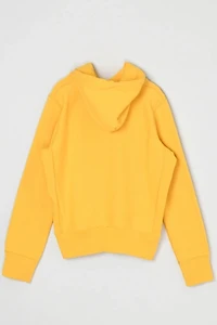 Vintage Y2k Abercrombie & Fitch Heavyweight Hoodie