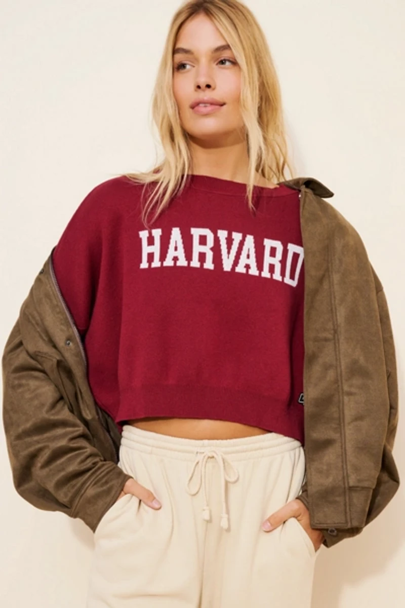 Hype and Vice Harvard Ivy Knit Sweater