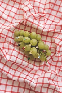 Joiana Jewelry The Romy Earrings