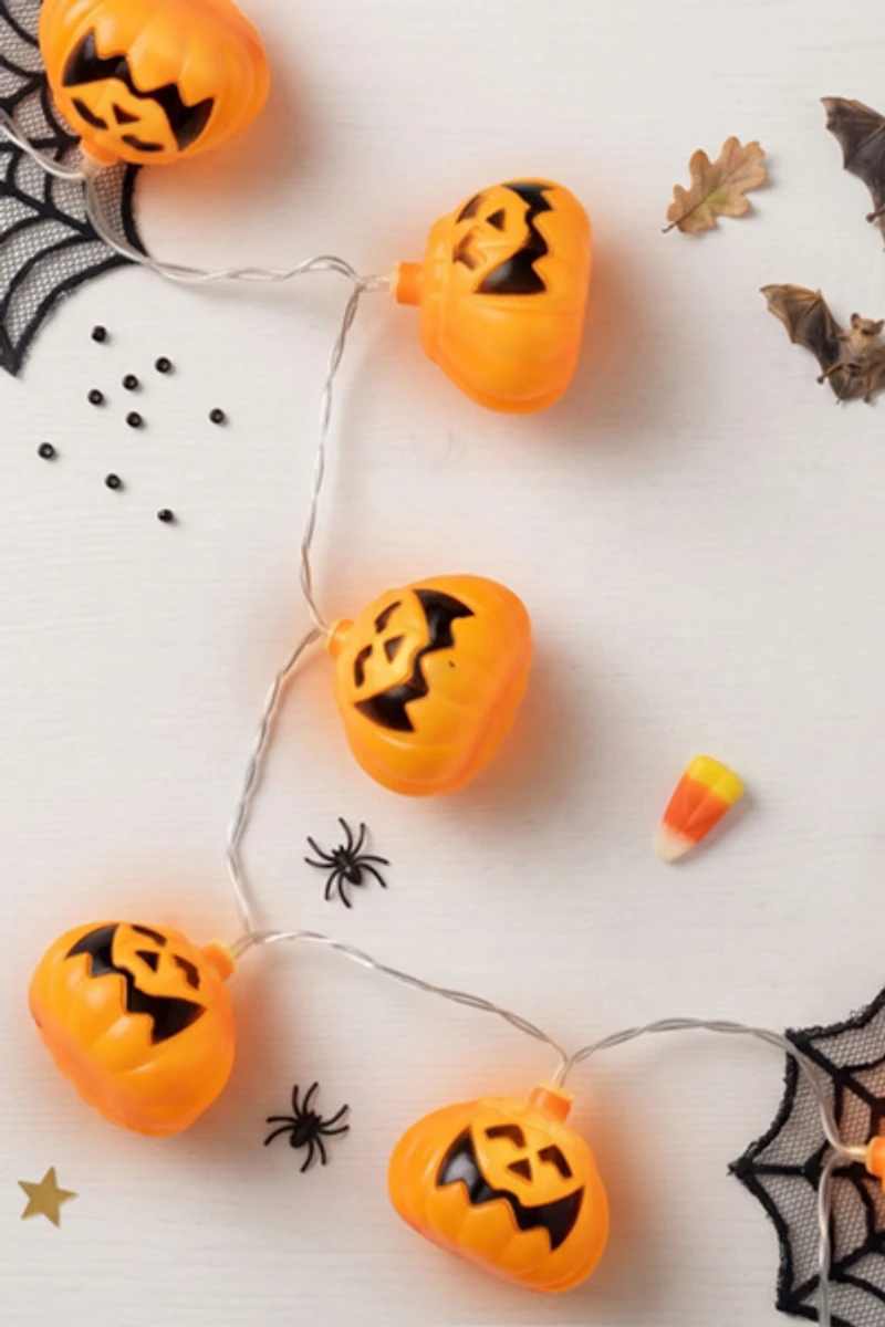Pumpkin 4ft String Lights