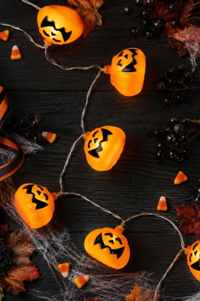 Pumpkin 4ft String Lights