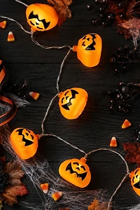 Pumpkin 4ft String Lights