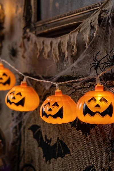 Pumpkin 4ft String Lights
