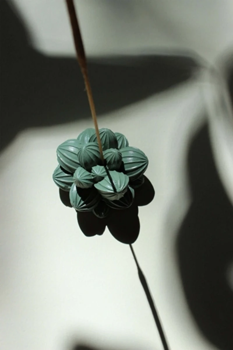 Acquired Taste Succulent Incense Stick Holder
