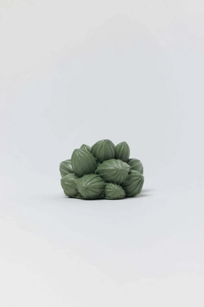 Acquired Taste Succulent Incense Stick Holder