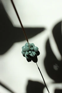 Acquired Taste Succulent Incense Stick Holder