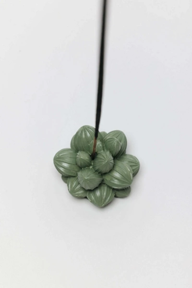 Acquired Taste Succulent Incense Stick Holder