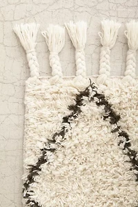 Felize Tassel Shag Rug