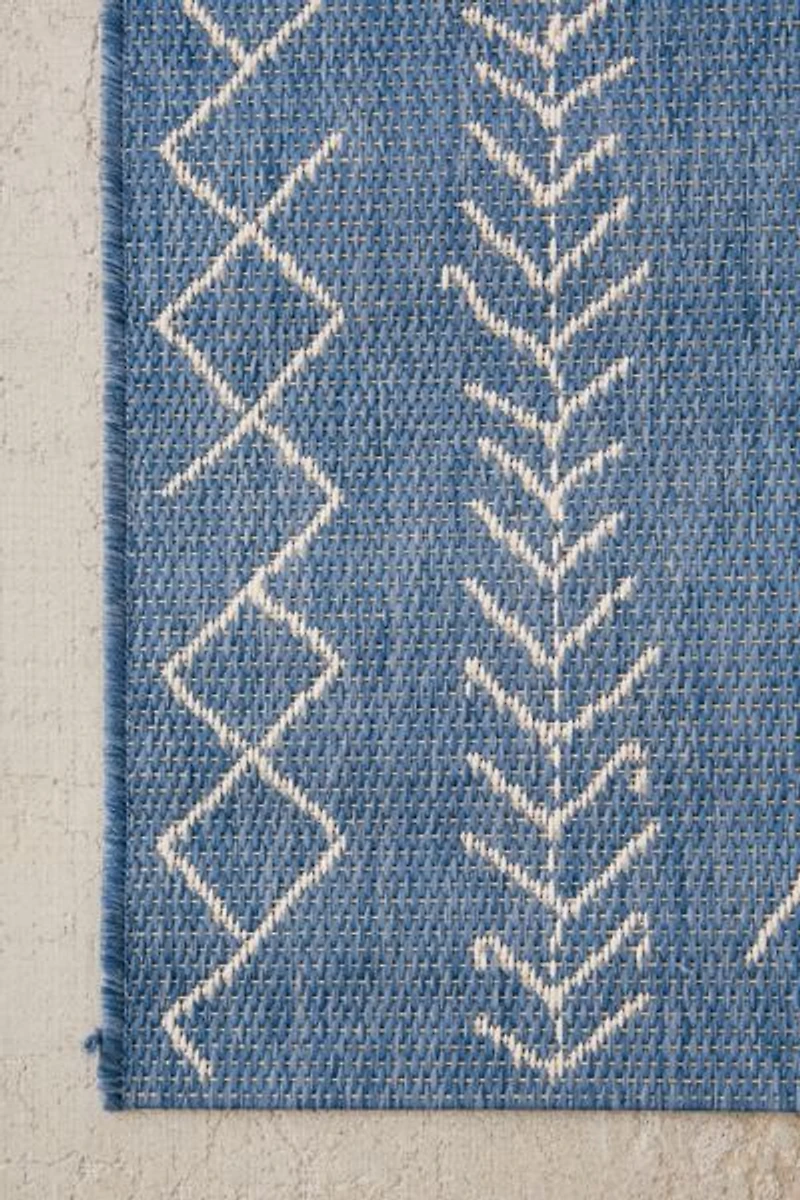 Odessa Indoor/Outdoor Rug