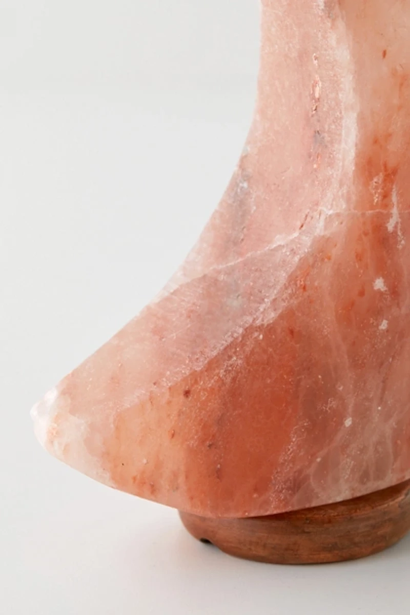 Moon Himalayan Salt Lamp
