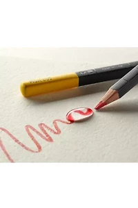 Moleskine Naturally Smart Colored Pencil Set