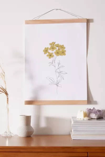 The Colour Study For Deny Botanical Illustration Dowel Art Print