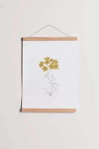 The Colour Study For Deny Botanical Illustration Dowel Art Print