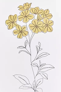 The Colour Study For Deny Botanical Illustration Dowel Art Print
