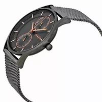 Skagen Holst Multi-Function Grey Dial Watch SKW6180