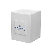 Skagen Holst Multi-Function Grey Dial Watch SKW6180