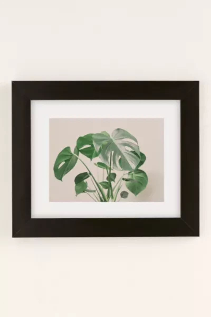Sisi And Seb My Monstera Art Print