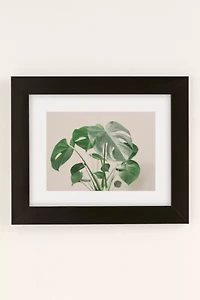 Sisi And Seb My Monstera Art Print