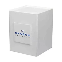 Skagen Melbye Grey Dial Stainless Steel Mesh Men's Watch SKW6078