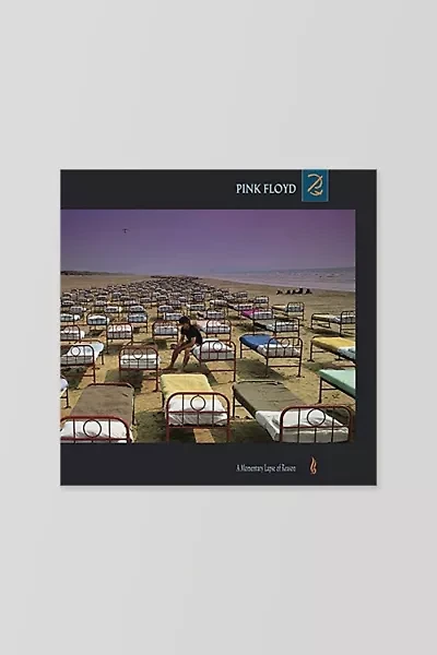 Pink Floyd - Momentary Lapse of Reason LP