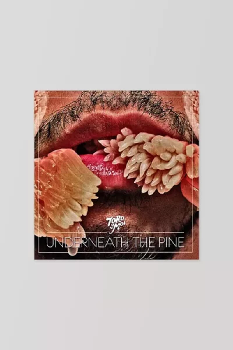 Toro Y Moi - Underneath the Pine LP